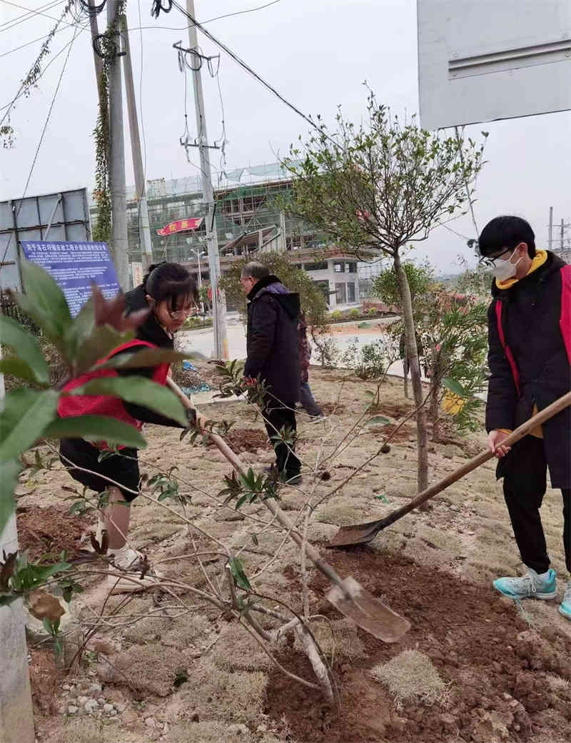 参与家乡“植树种草,清理垃圾”活动2.jpg