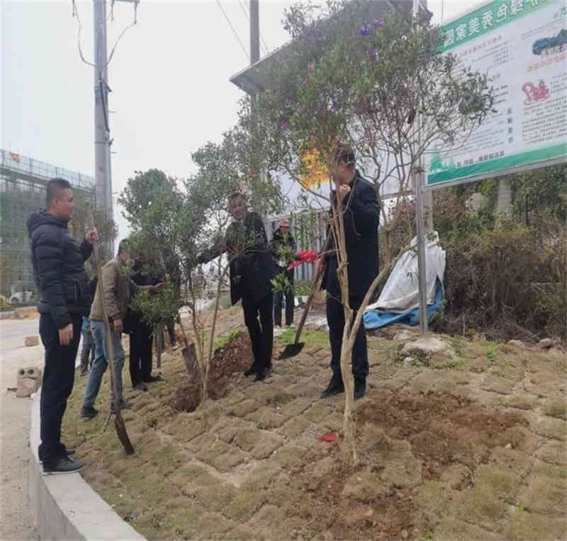 参与家乡“植树种草,清理垃圾”活动.jpg