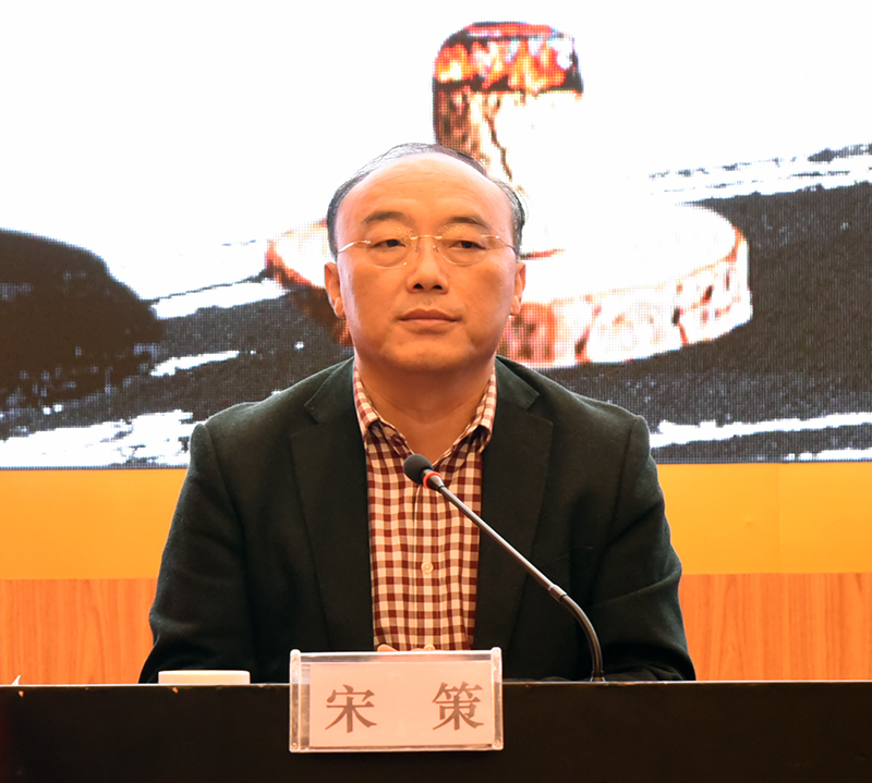 宋策发表讲话.jpg 宋策发表讲话.jpg