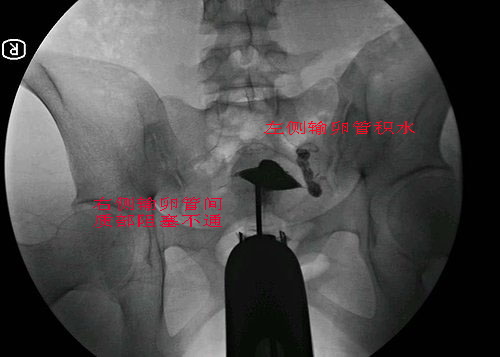 3.jpg 3.jpg