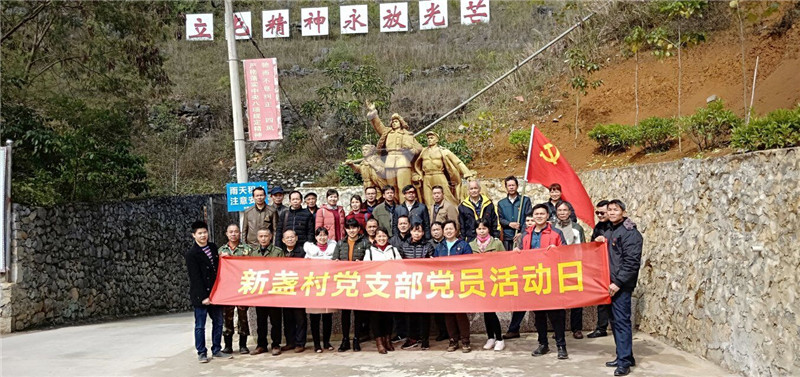 新盏村党支部开展党员活动日.jpg
