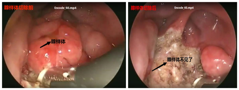 图片2_副本33.jpg 图片2_副本33.jpg