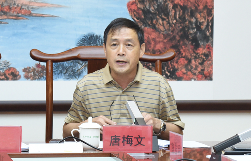 3唐梅文院长讲话.jpg 3唐梅文院长讲话.jpg