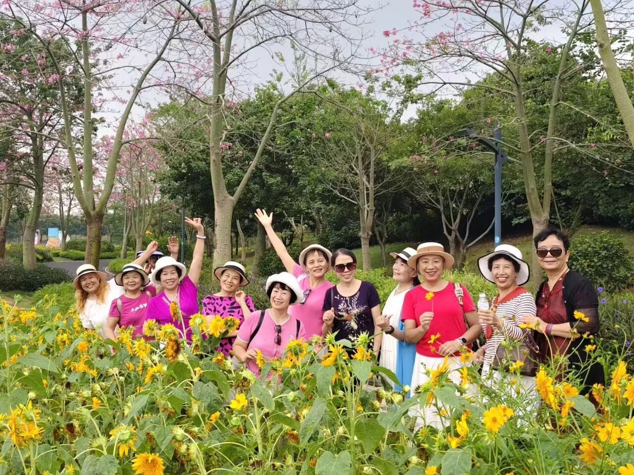 金秋花海赏美景 温情重阳暖桑榆——我院组织退休职工开展敬老活动