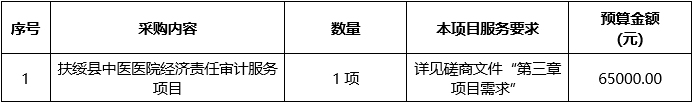 扶绥县中医医院经济责任审计服务项目院内磋商公告